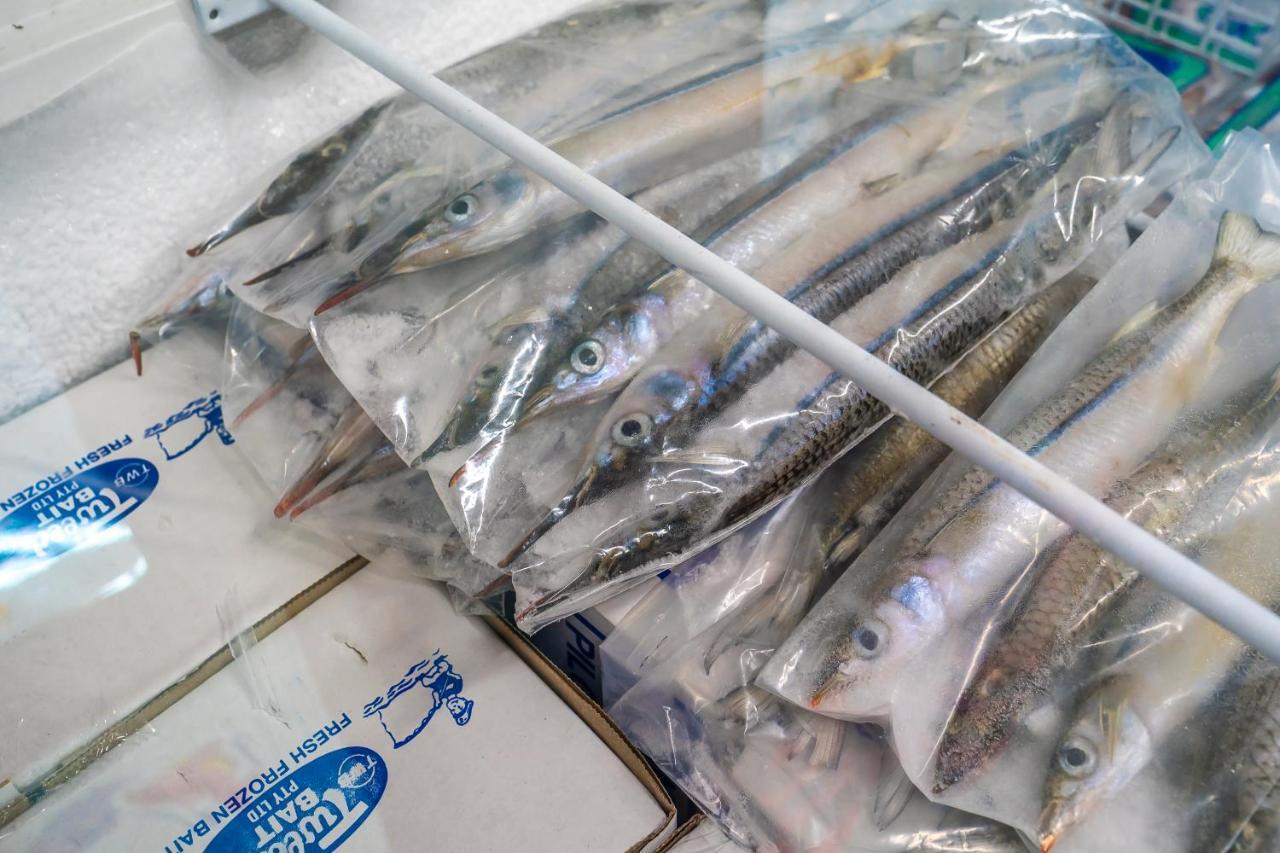 Lucinda Fishing Lodge Екстериор снимка